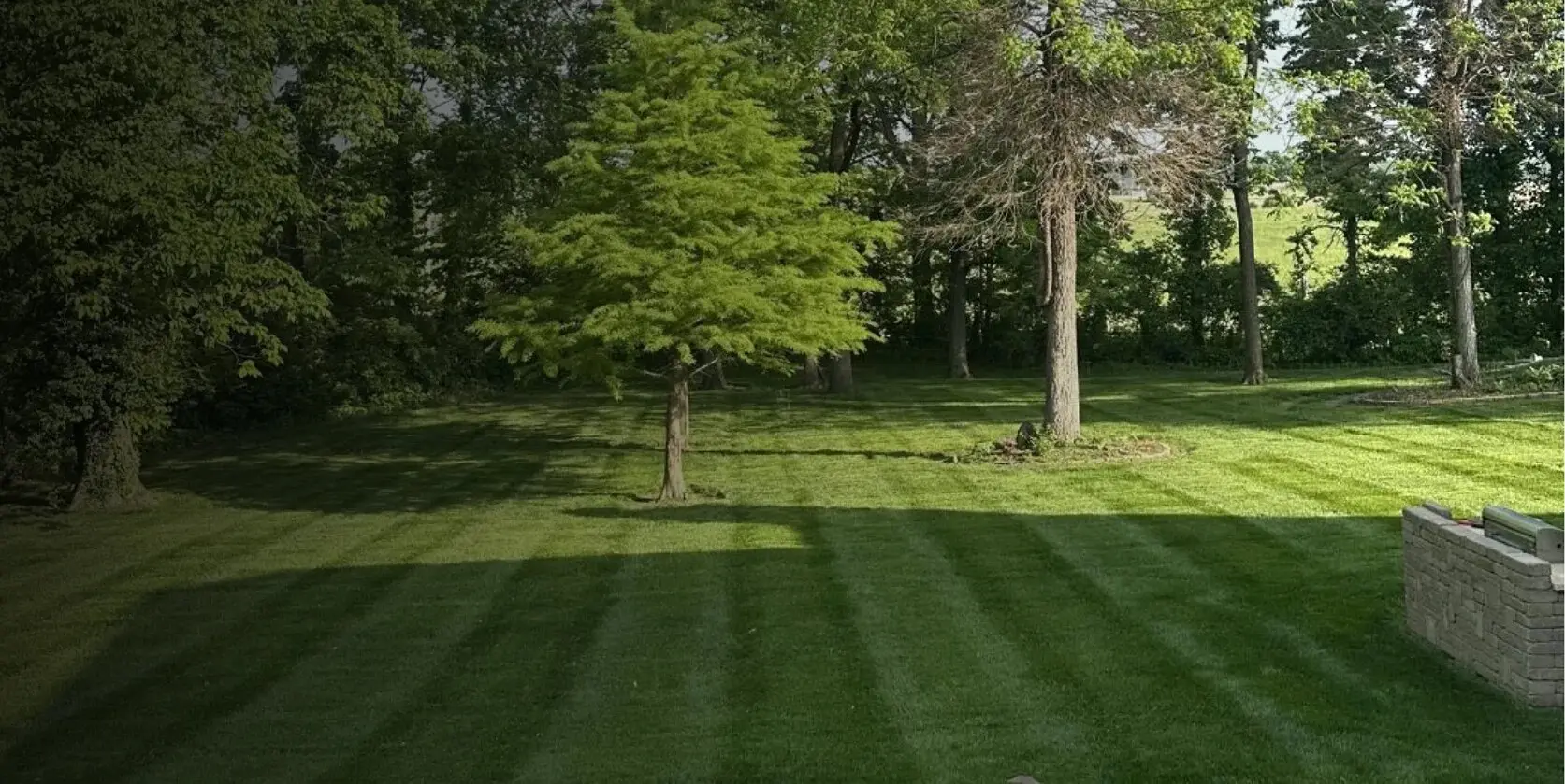 A Royal Acres lawn under mature trees, cut in stripes