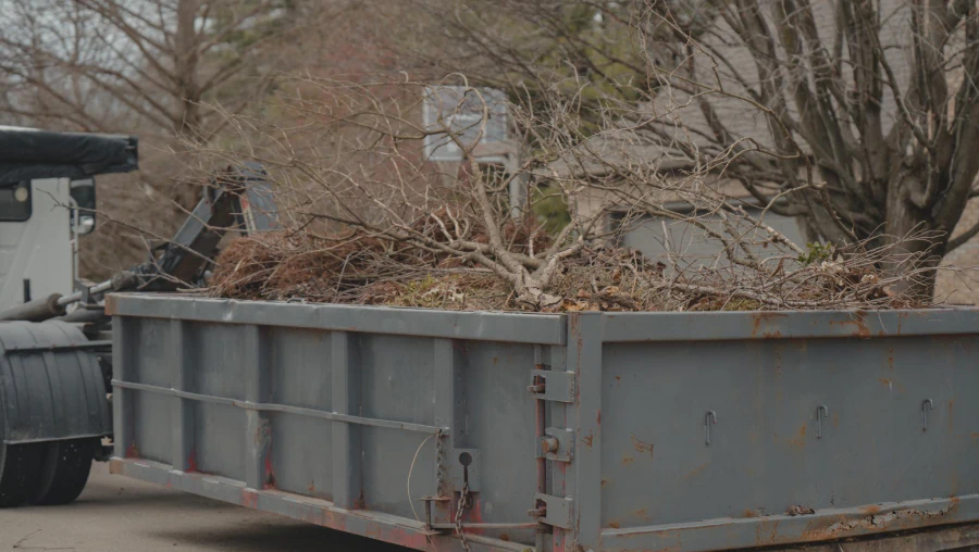 Fall & Spring Clean Ups 2