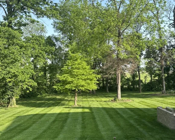 Landscaping Design & Installation