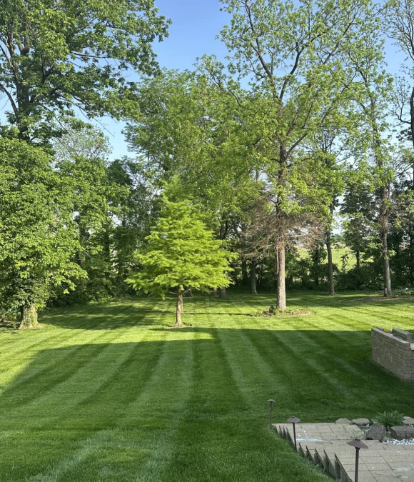 Landscaping Design & Installation