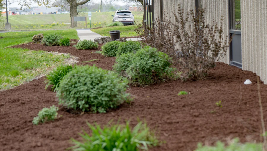 Lawn Fertilization & Treatment 2 Lawn Fertilization & Treatment 2