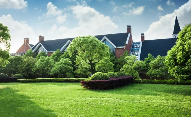 Lawn Care