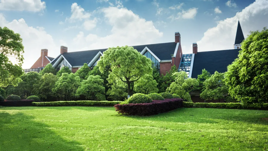 Lawn Care