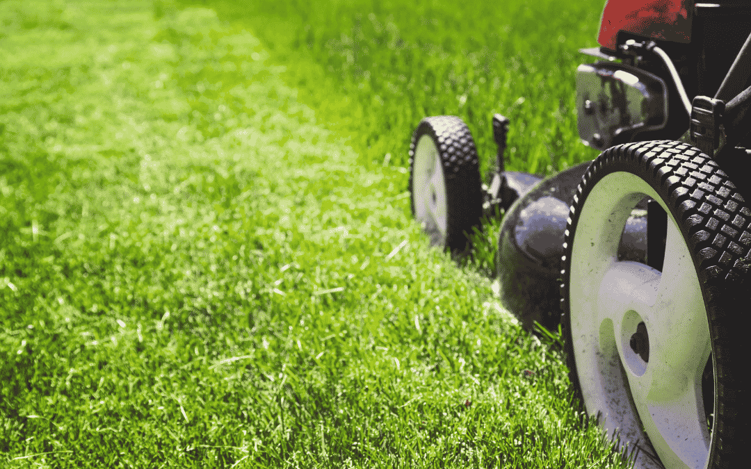 Master Your Mower Expert Tips for Perfect Lawn Mowing and Maintenance