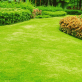 The Ultimate Step by Step Guide to Preparing Your Lawn for Winter