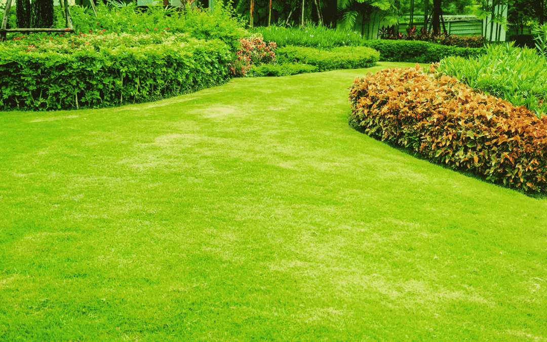 The Ultimate Step by Step Guide to Preparing Your Lawn for Winter